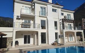 Villa Holly